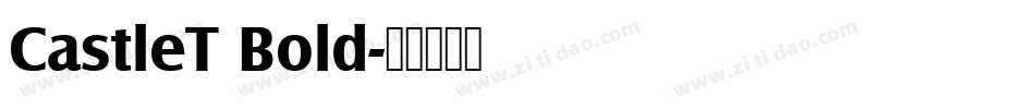 CastleT Bold字体转换